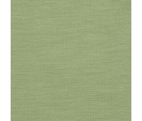 313 Novello 34 Novello Hedge 313 Novello 34 Novello Hedge