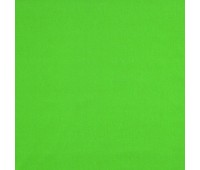 313 Novello 42 Olgia Basil 313 Novello 42 Olgia Basil