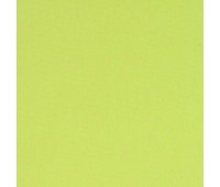 313 Novello 73 Olgia Popcorn 313 Novello 73 Olgia Popcorn