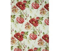 Amaranda 74 Amaranda 74