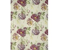 Amaranda 75 Amaranda 75