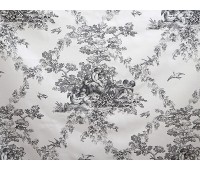 Angelote 1 Angelote 1