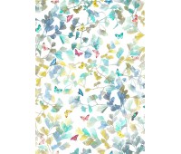 Loras Tropical Loras Tropical