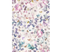 Loras Violeta Loras Violeta