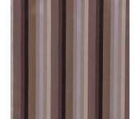 Derivatives Obtain 17