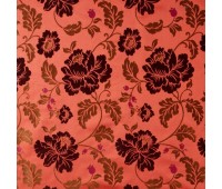 Empress Highness 1 Empress Highness 1