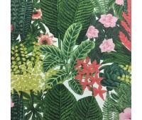 Magic Forest Moly 127 Magic Forest Moly 127