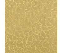 Moxie Chop 19 Moxie Chop 19