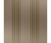 Phenix 13 Earth Phenix 13 Earth