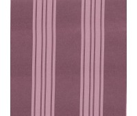 Phenix 19 Parma Phenix 19 Parma