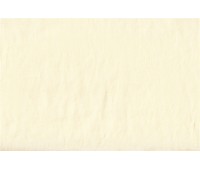 Raso Polo Largo 01 Raso Polo Largo 01