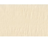 Raso Polo Largo 02 Raso Polo Largo 02