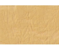 Raso Polo Largo 08 Raso Polo Largo 08