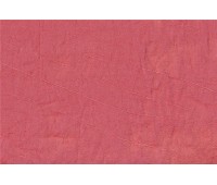 Raso Polo Largo 18 Raso Polo Largo 18