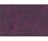 Raso Polo Largo 24 Raso Polo Largo 24