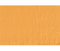 Raso Polo Largo 35 Raso Polo Largo 35