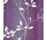 Silvana Nora 02 Back Silvana Nora 02 Back