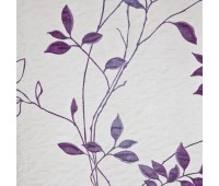 Silvana Nora 02 Front Silvana Nora 02 Front