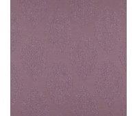 386 Interval 12 Octave Crocus 386 Interval 12 Octave Crocus