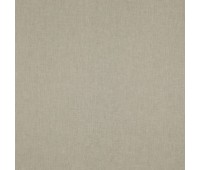 386 Interval 27 Second Mushroom 386 Interval 27 Second Mushroom