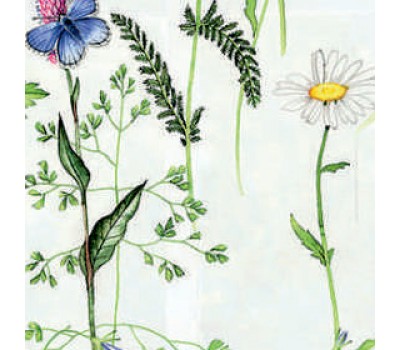 Купить Рулонные шторы ФЛОРА BO 0225 белый, 200 см в Москве Купить Рулонные шторы ФЛОРА BO 0225 белый, 200 см в Москве