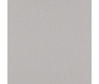 Ambience 14 Aura Elephant Ambience 14 Aura Elephant