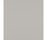 Ambience 29 Blow Earth Ambience 29 Blow Earth