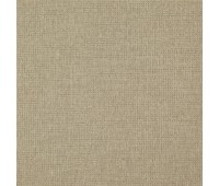 342 Falcon 45 Forest Marzipan 342 Falcon 45 Forest Marzipan