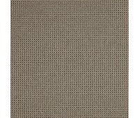 342 Falcon 5 Contralto Chinchilla 342 Falcon 5 Contralto Chinchilla