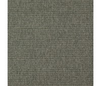 342 Falcon 68 Hound Tiramisu