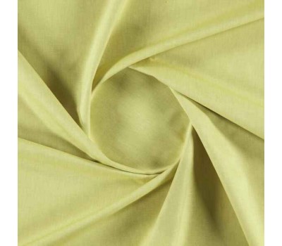 Pastel Lime
