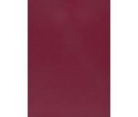 362 Pure Saten 70 Vion Passion 362 Pure Saten 70 Vion Passion