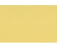 Azov Tintura Liso 08 Azov Tintura Liso 08