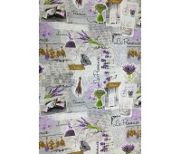 Romance Cannes Romance Cannes