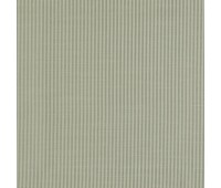 309 Felitto 15 Mirto Thyme 309 Felitto 15 Mirto Thyme