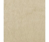 303 Marisol 36 Patro 6 303 Marisol 36 Patro 6