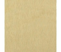 303 Marisol 37 Patro 7 303 Marisol 37 Patro 7