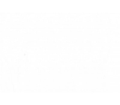 Ткань Natural 10 на отрез