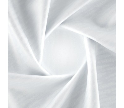 Blazar Ice