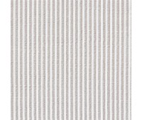 Davinci Leonardo 03 Fossil