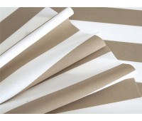 Outdoor Silver 21 Outdoor Silver 21