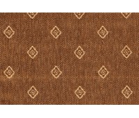 Dia 07 Lion Dia 07 Lion