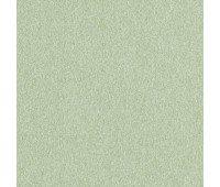 312 Mezzano 68 Santino Fern 312 Mezzano 68 Santino Fern