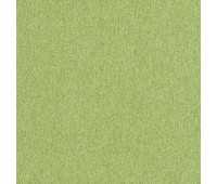 312 Mezzano 74 Santino Pesto 312 Mezzano 74 Santino Pesto