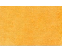 Terciopel 11 Terciopel 11