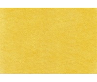 Terciopel 22 Terciopel 22