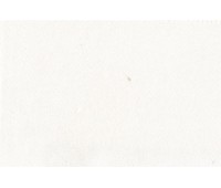 Maury Ivory Maury Ivory