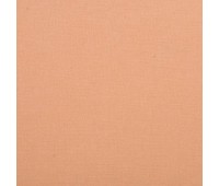 Menorca 1311 Menorca 1311