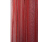 Quartet S Spain 37 Quartet S Spain 37