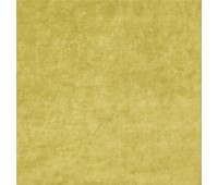 343 Imperial 10 Imperial Mimosa